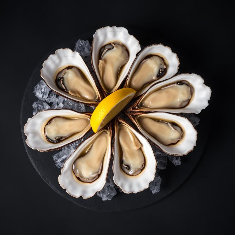 Dakhla Oysters